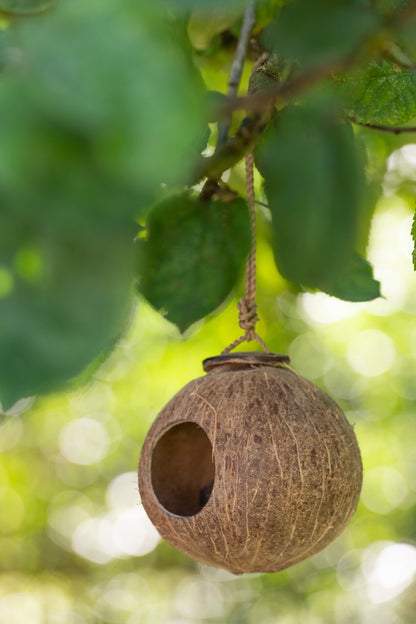 Casa para pájaros COCO