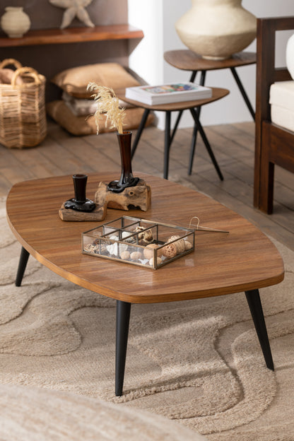 TECA coffee table